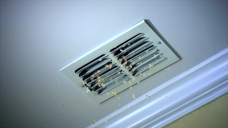 Best Best Air Duct Cleaning Company  in Friendswood, TX