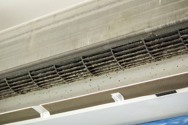 Best Commercial Air Duct Cleaning  in Friendswood, TX