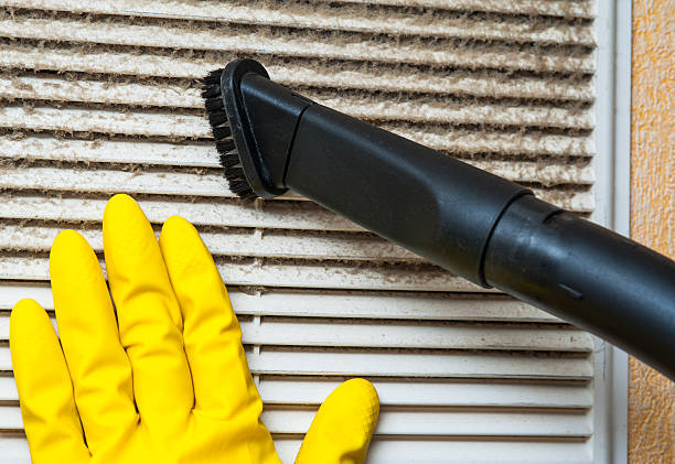 Best Affordable Air Duct Cleaning  in Friendswood, TX